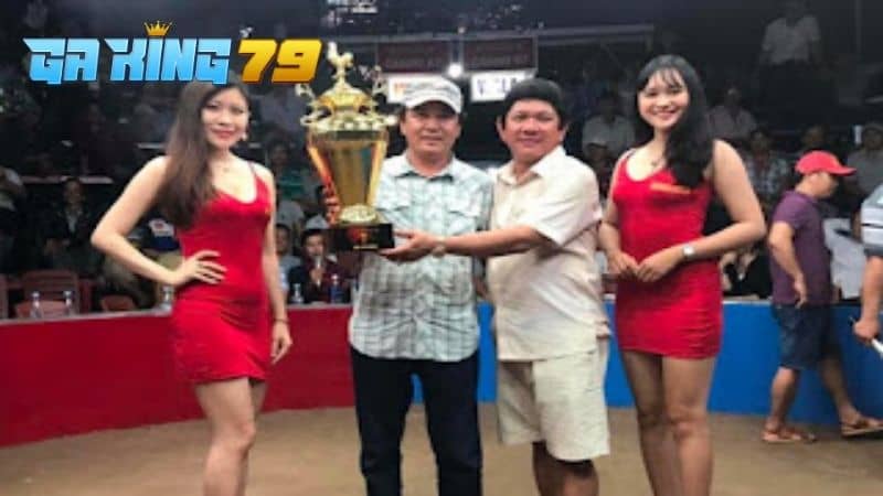 Giá trị chiến kê tại Trại gà Phúc Bình Dương lên đến hàng trăm triệu đồng