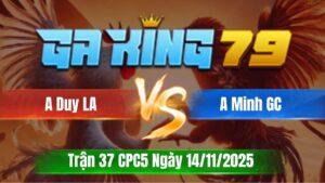 Trận 37 CPC5 Ngày 14/11/2025 - Camelo đá bo khủng tới phút cuối chuối hư hình