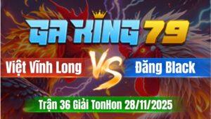 Trận 36 Giải TonHon 28/11/2025 - Anh Việt Vĩnh Long Và Anh Đăng Black