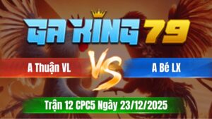 Trận 12 CPC5 Ngày 23/12/2025 - Đỏ đá bến thế xanh không đường vô