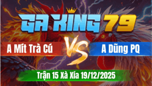 Trận 15 Xà Xía 19/12/2025 - Anh Mít Trà Cú Vs Anh Dũng Phú Quốc