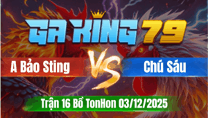 Trận 16 TonHon 03/12/2025 - Gà Bướm Hiệu Idol Bảo Sting Thắng Gọn