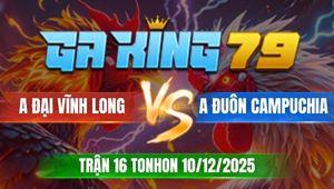 Trận 16 TonHon 10/12/2025 - Gà Điều Anh Đuôn Một Mắt Canh Chặn Quá Hay