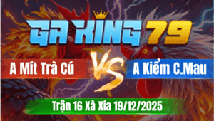 Trận 16 Xà Xía 19/12/2025 - Anh Mít Trà Cú Vs Anh Kiểm Cà Mau