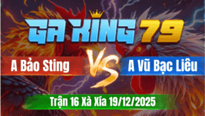 Trận 17 Xà Xía 19/12/2025 - Gà Idol Bảo Sting Đâm Như Máy Khâu