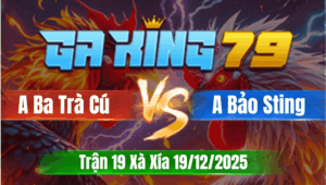 Trận 19 Xà Xía 19/12/2025 - Anh Ba Trà Cú Phục Thù Anh Bảo Sting