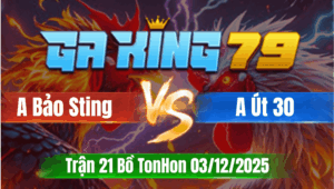 Trận 21 TonHon 03/12/2025 - Gà Bướm Bảo Sting Chồng Độ 3 Gặp Anh Út 30