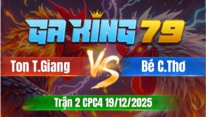 Trận 2 CPC4 Ngày 19/12/2025 - Xám chụp đá cựa như sam sít điều vô lọt cây ngủm