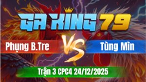 Trận 3 CPC4 Ngày 24/12/2025 - Điều vàng chân trắng đuôi lau như sách khó kiếm