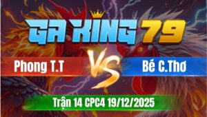 Trận 14 CPC4 Ngày 19/12/2025 - Bướm đá không cựa điều chụp bửa chân lên bản
