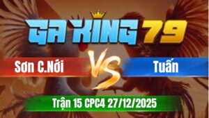 Trận 15 CPC5 Ngày 27/12/2025 - Vàng chấp hơi ngông que tán cây lưng lấy tiền dục sông