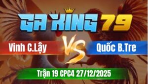 Trận 19 CPC5 Ngày 27/12/2025 - Gà điều tải cựa kinh gồng tốt đâm củng nghiệt bướm vô liệt chỗ