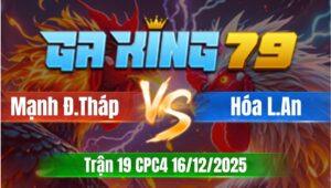 Trận 19 CPC4 Ngày 16/12/2025 - Que dính vô chụp đá cựa bướm gỡ không kịp thở