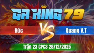 Trận 23 CPC3 Ngày 28/12/2025 - Bướm trâu bò điều đá không si nhê bướm vũ lại điều gục đầu