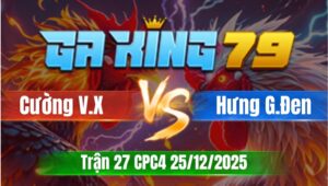 Trận 27 CPC4 Ngày 25/12/2025 - Que dính vô xám đá mấy chân hốt cám