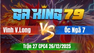 Trận 27 CPC4 Ngày 26/12/2025 - Gà vàng khôn gà canh chặn chân nào có kết quả chân đó