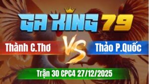 Trận 30 CPC5 Ngày 27/12/2025 - Que xấu đá bạc buôn đuôi đá bướm mạc