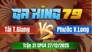 Trận 31 CPC5 Ngày 27/12/2025 - Gà vàng vô ẩu xám nhét cây sặt tím đầu