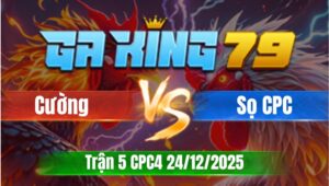 Trận 5 CPC4 Ngày 24/12/2025 - Điều chân xanh chụp vũ nhanh gọn tính tiền hẹ nhàng