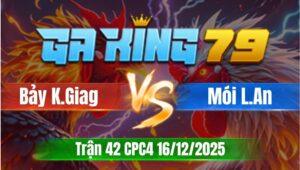 Trận 42 CPC4 Ngày 16/12/2025 - Điều chân vàng cứu chủ pha cuối mà nài yếu chịu