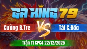 Trận 11 CPC4 Ngày 22/12/2025 - Điều vô gây chụp nhẹ cây cổ cần hư hình