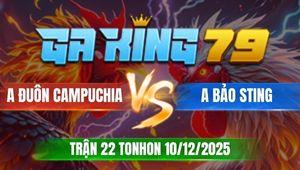 Trận 26 TonHon 10/12/2025 - Bông Đá Bo Xe Đụng Hạ Bướm Hiệu Bảo Sting