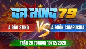 Trận 28 TonHon 10/12/2025 - Bảo Sting Xui Tang, Bạc Ăn 1 Còn Bị Phản