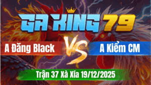 Trận 37 Xà Xía 19/12/2025 - Anh Kiểm Cà Mau Chấp Anh Đăng Black 6 Chấm
