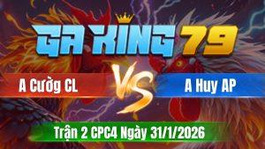 Trận 2 CPC4 Ngày 31/01/2026 - Úa đá chân đâu bông vô chịu hông nổi