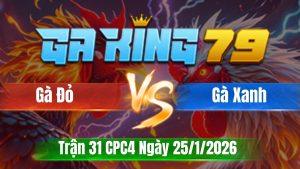 Trận 31 CPC4 Ngày 25/01/2026 - Xám khét tải cựa như trâu đá càng lâu điều chết lại