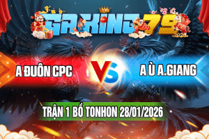 Trận 1 Tonhon 28/01/2026 – A Đuôn CPC vs A Ù An Giang