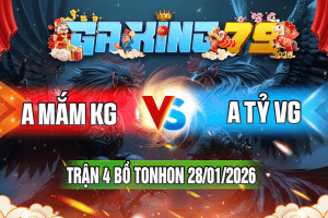 Trận 4 Tonhon 28/01/2026 – A Mắm KG vs A Tỷ VG