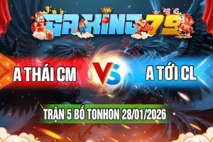 Trận 5 Tonhon 28/01/2026 – A Thái CM vs A Tới CL