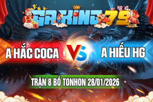 Trận 8 Tonhon 28/01/2026 – A Hắc CoCa vs A Hiếu HG