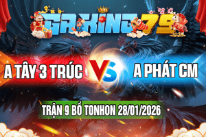 Trận 9 Tonhon 28/01/2026 – A Tây 3 Trúc vs A Phát CM