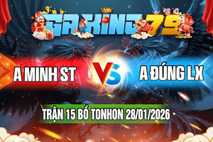 Trận 15 Tonhon 28/01/2026 – A Minh ST vs A Đúng LX