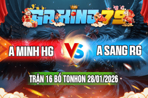 Trận 16 Tonhon 28/01/2026 – A Minh HG vs A Sang RG