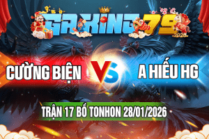 Trận 17 Tonhon 28/01/2026 – Cường Biện vs A Hiếu HG