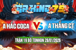 Trận 19 Tonhon 28/01/2026 – A Hắc CoCa vs A Thắng CT
