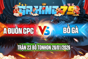 Trận 23 Tonhon 28/01/2026 – A Đuôn CPC vs Bồ Gà