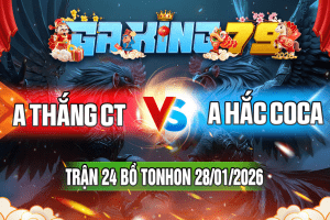 Trận 24 Tonhon 28/01/2026 – A Thắng CT vs A Hắc CoCa