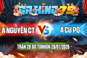 Trận 28 Tonhon 28/01/2026 – A Nguyên CT vs A Cu PQ