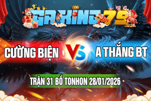 Trận 31 Tonhon 28/01/2026 – Cượng Biện vs A Thắng BT
