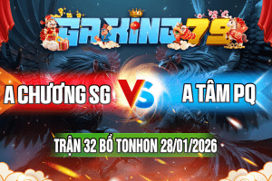 Trận 32 Tonhon 28/01/2026 – A Chương SG vs A Tâm PQ