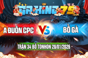 Trận 34 Tonhon 28/01/2026 – A Đuôn CPC vs Bồ Gà