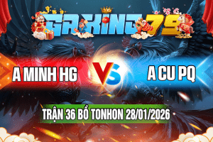 Trận 36 Tonhon 28/01/2026 – A Minh HG vs A Cu PQ