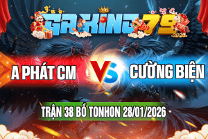 Trận 38 Tonhon 28/01/2026 – A Phát CM vs Cường Biện
