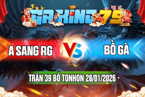 Trận 39 Tonhon 28/01/2026 – A Sang RG vs Bồ Gà