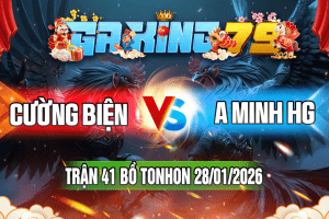 Trận 41 Tonhon 28/01/2026 – Cường Biện vs A Minh HG