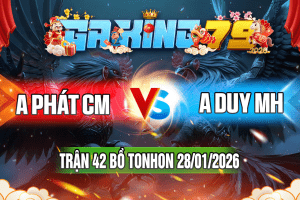 Trận 42 Tonhon 28/01/2026 – A Phát CM vs A Duy MH